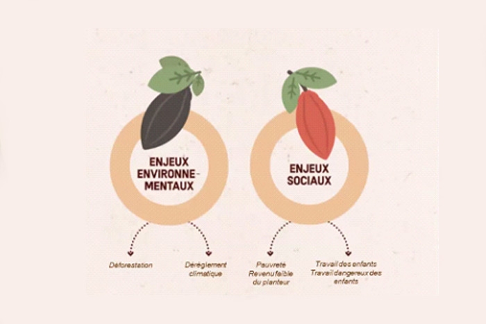 Sustainable cocoa at the heart of the EU-Côte d'Ivoire relationship