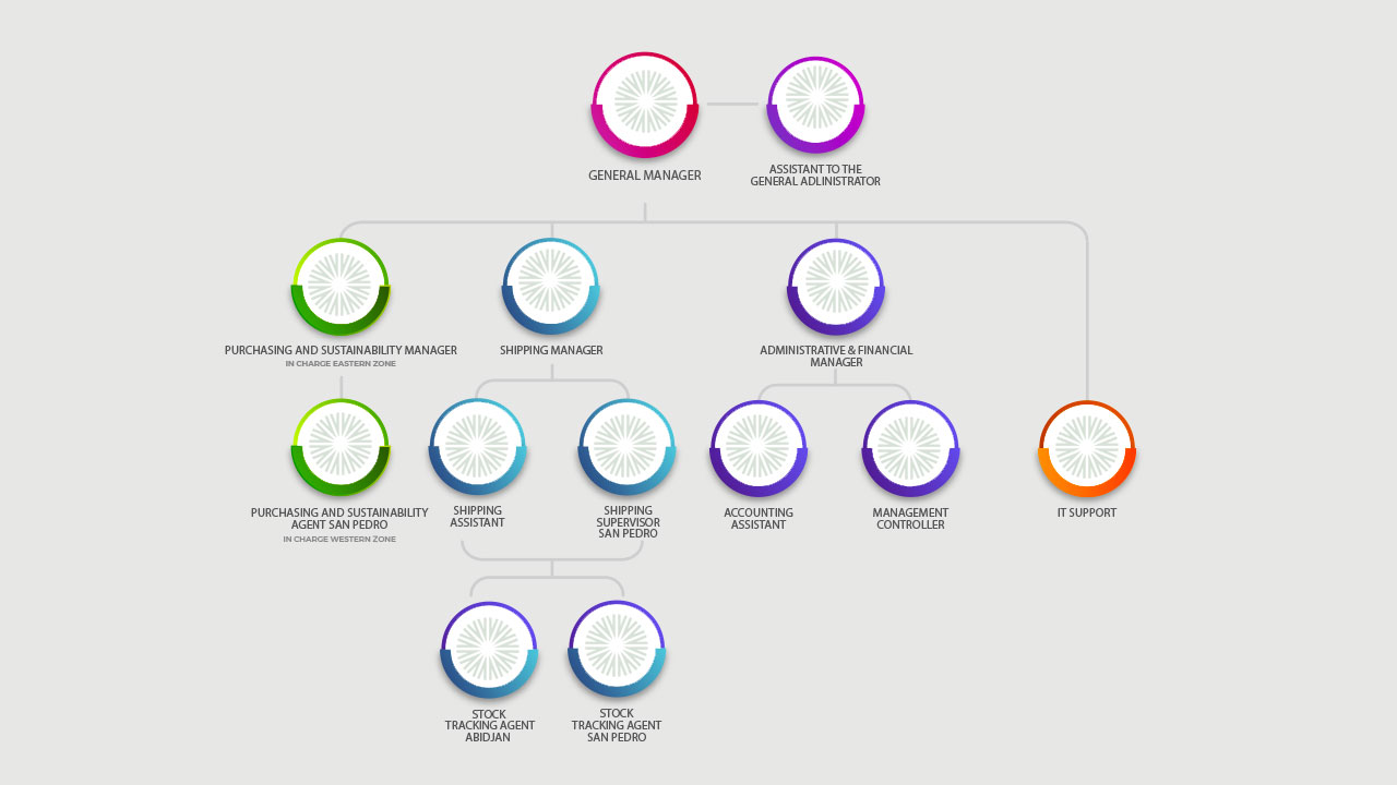 Organizational chart