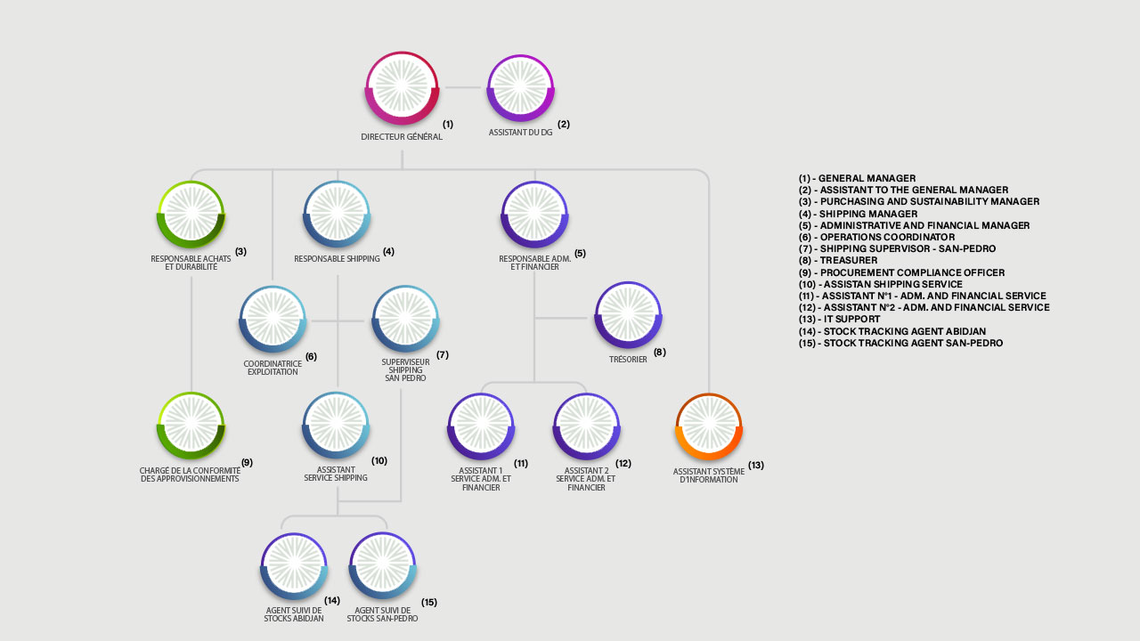 Organizational chart